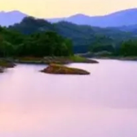 信息流廣告代理公司 杭州廣告市場的專業(yè)選擇