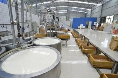 木匠轉(zhuǎn)行賣(mài)豆腐 匠心傳承，創(chuàng)業(yè)新篇